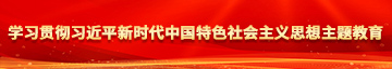 美女性感被操视频网站学习贯彻习近平新时代中国特色社会主义思想主题教育