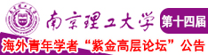 拼操欧美大屁股相关老女人南京理工大学第十四届海外青年学者紫金论坛诚邀海内外英才！